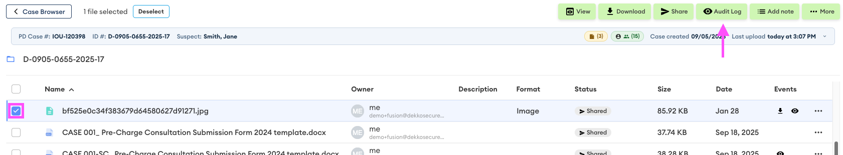 Case file list with one file selected and the Audit Log button highlighted in the top toolbar, indicated by a pink arrow.
