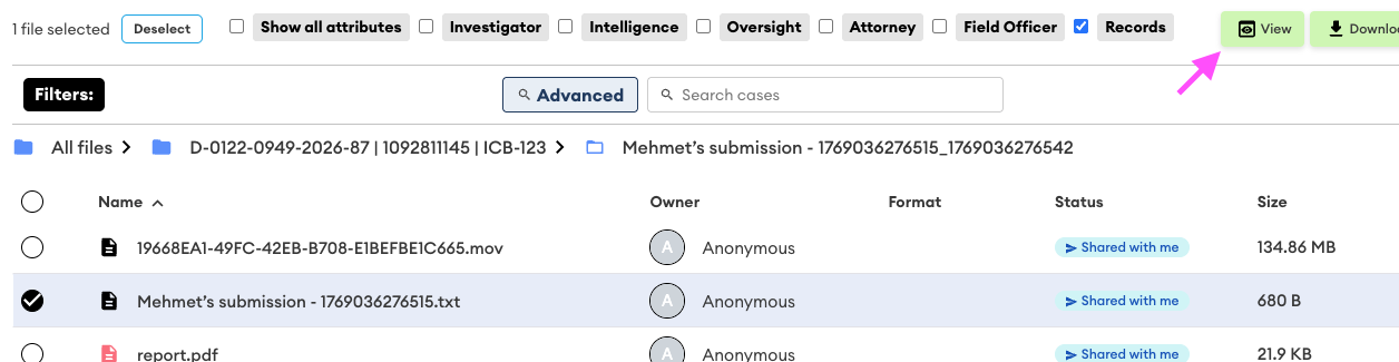 File list with the "Mehmet's submission" .txt report selected and the green **View** button highlighted by a pink arrow.