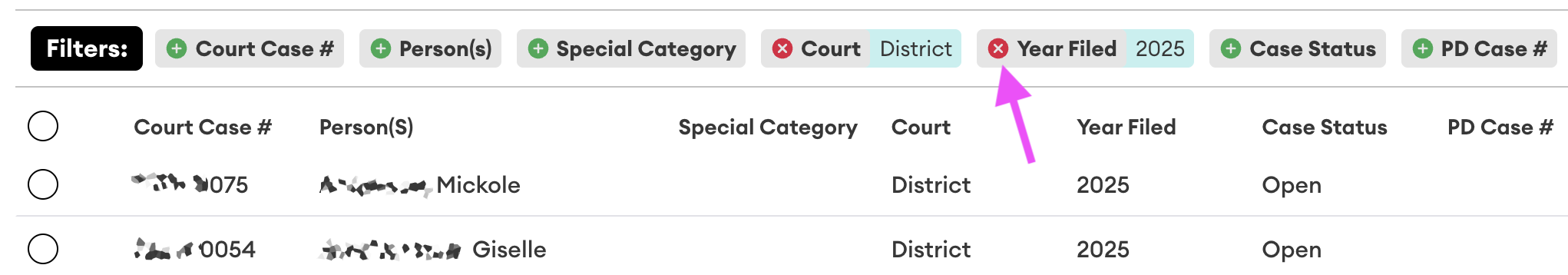 Filter bar showing active "Court: District" and "Year Filed: 2025" filters with red (×) remove icons, and the pointer on the Year Filed remove icon.